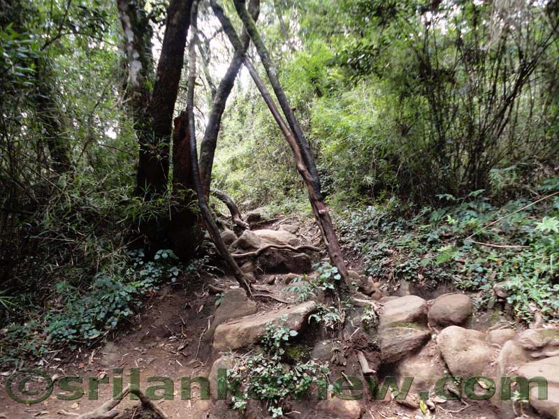 Horton Plains National Park and vicinity