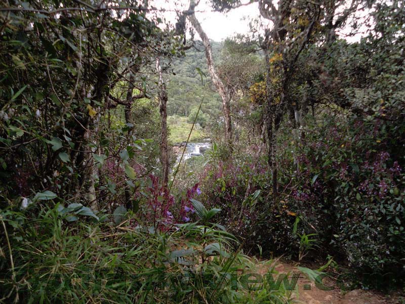 Horton Plains National Park and vicinity