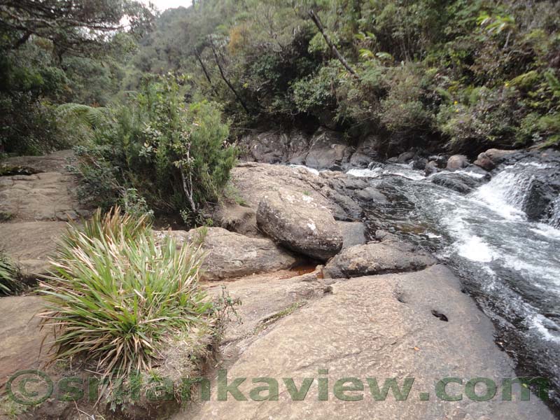 Horton Plains National Park and vicinity