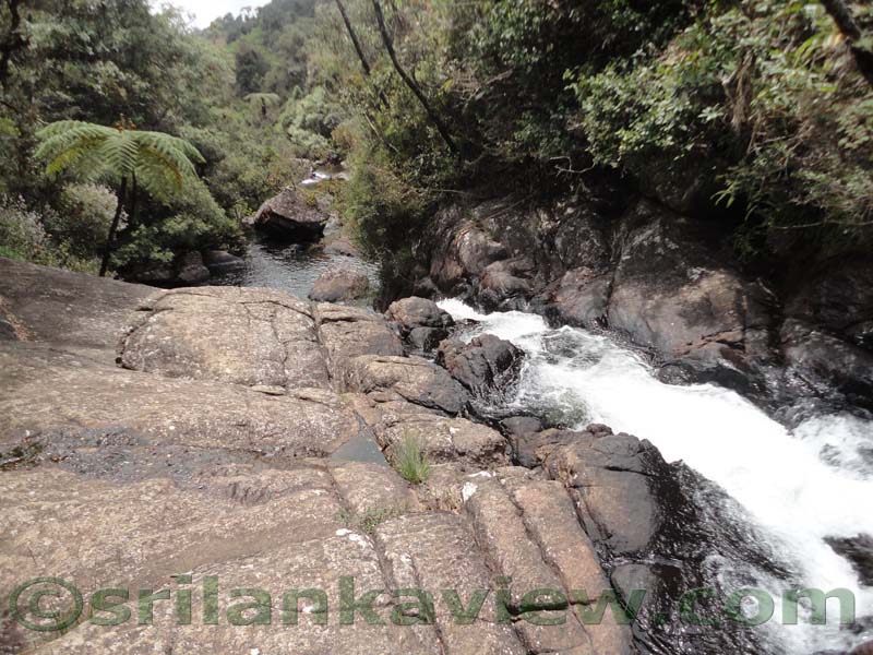 Horton Plains National Park and vicinity