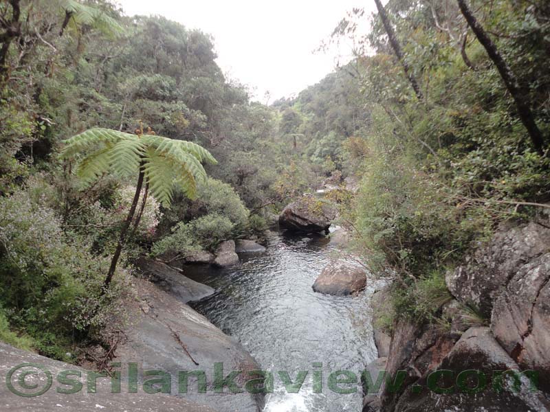 Horton Plains National Park and vicinity