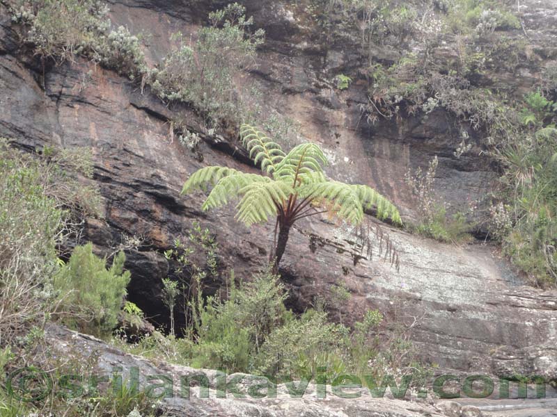 Horton Plains National Park and vicinity
