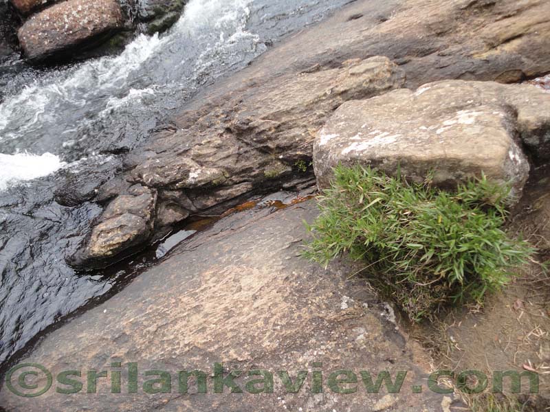 Horton Plains National Park and vicinity