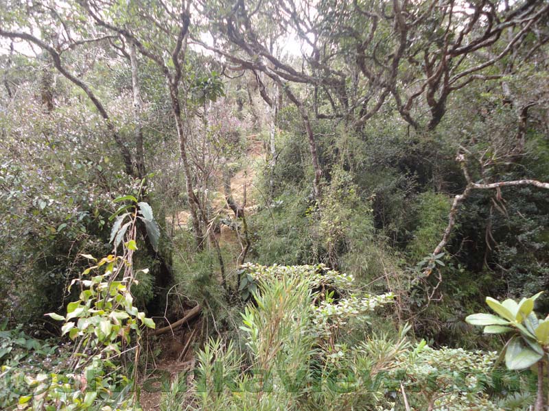 Horton Plains National Park and vicinity