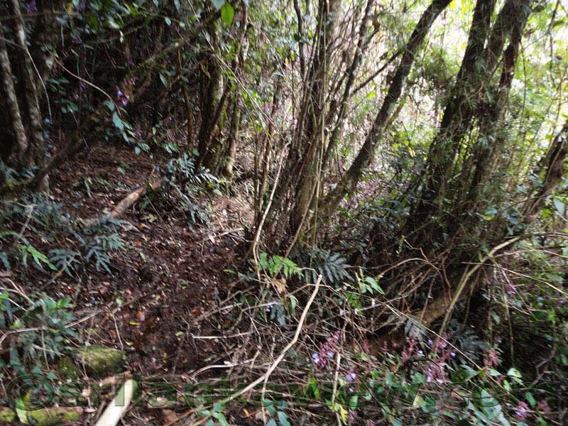 Horton Plains National Park and vicinity