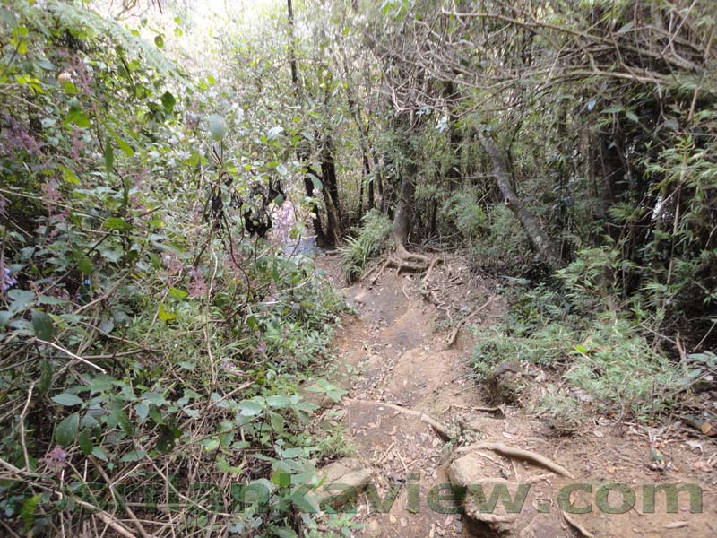 Horton Plains National Park and vicinity