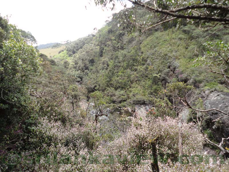 Horton Plains National Park and vicinity