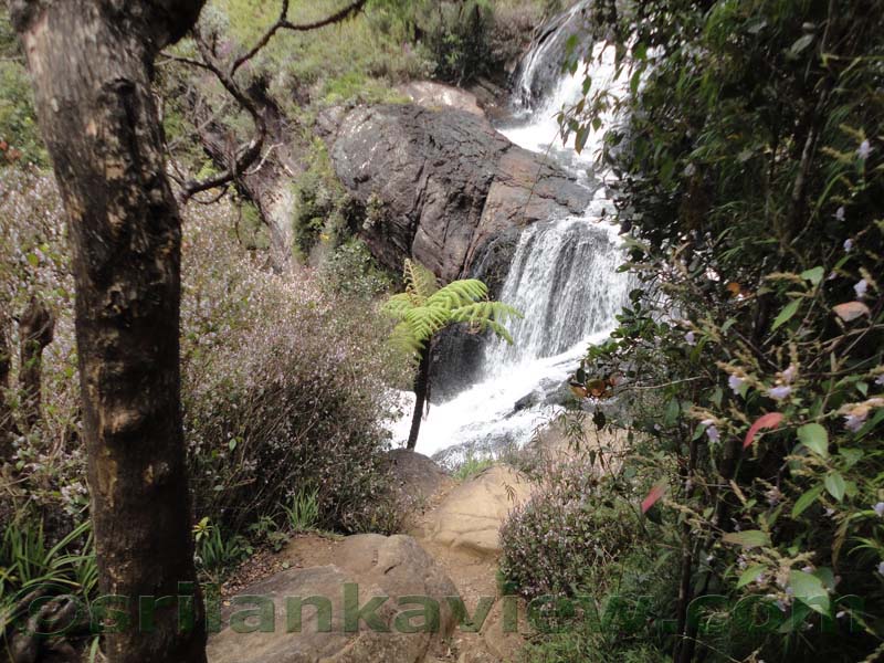 Horton Plains National Park and vicinity