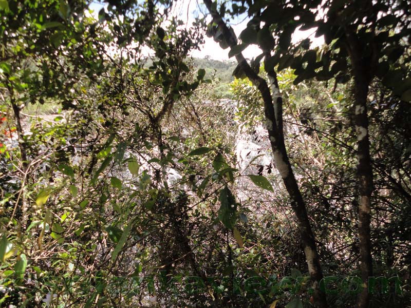 Horton Plains National Park and vicinity