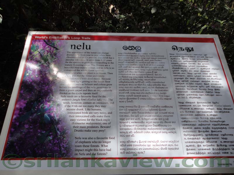 Horton Plains National Park and vicinity