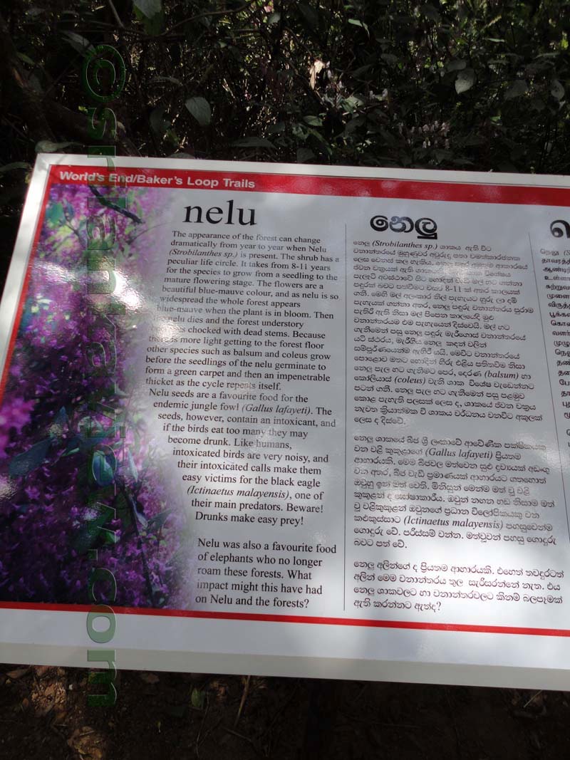 Horton Plains National Park and vicinity