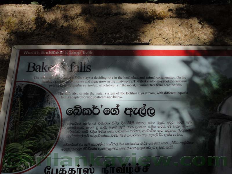 Horton Plains National Park and vicinity