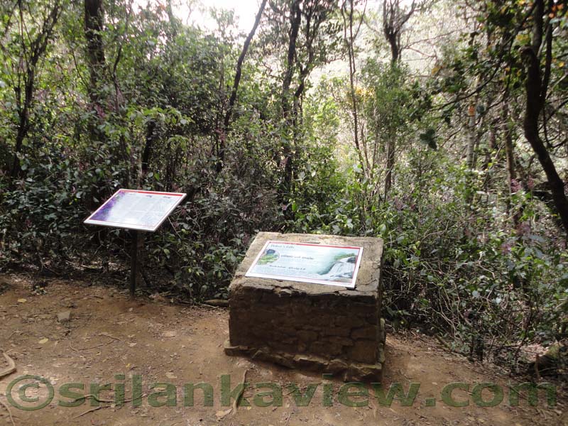 Horton Plains National Park and vicinity