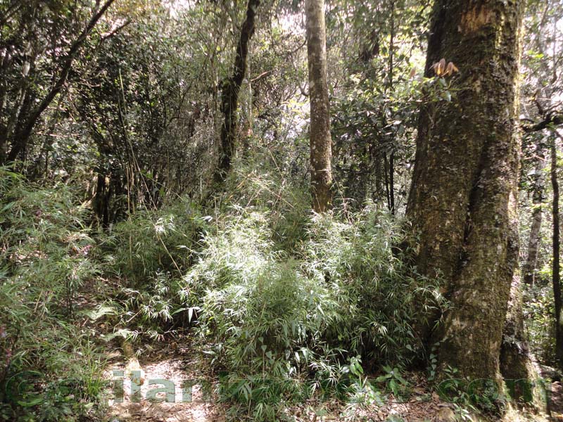 Horton Plains National Park and vicinity