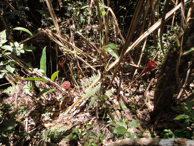 Horton Plains National Park and vicinity