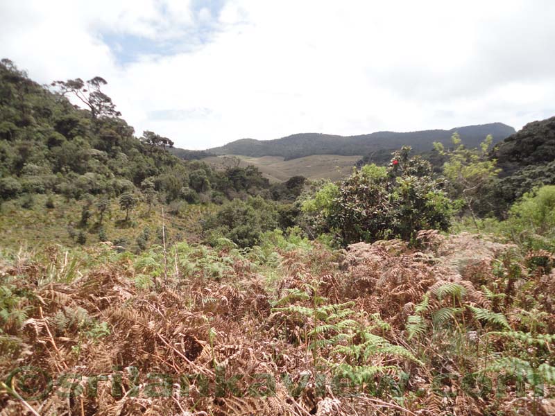 Horton Plains National Park and vicinity