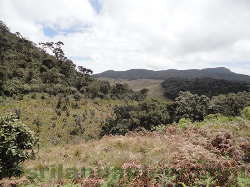 Horton Plains National Park and vicinity