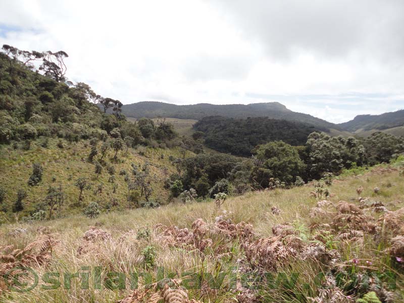 Horton Plains National Park and vicinity