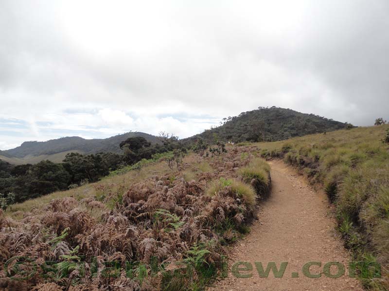 Horton Plains National Park and vicinity