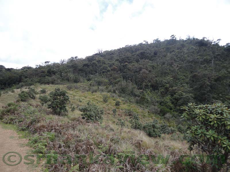 Horton Plains National Park and vicinity
