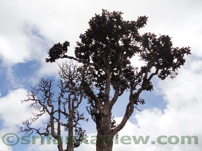 Horton Plains National Park and vicinity