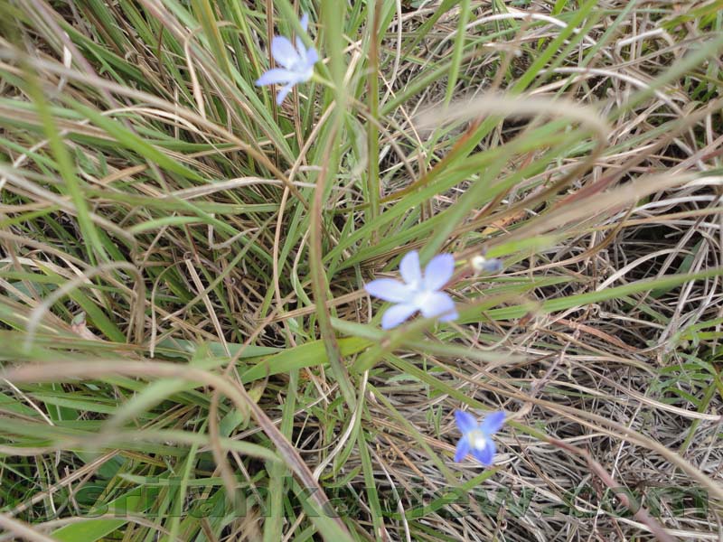 Horton Plains National Park and vicinity