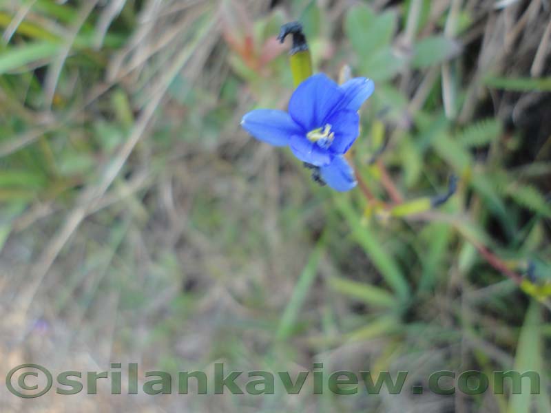 Horton Plains National Park and vicinity