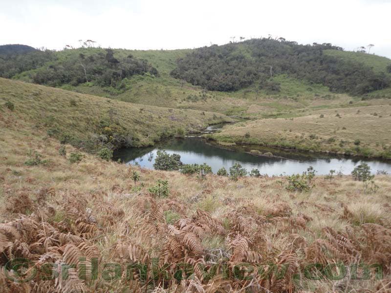 Horton Plains National Park and vicinity