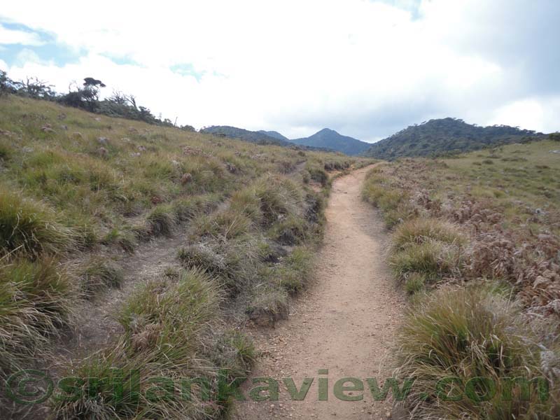 Horton Plains National Park and vicinity