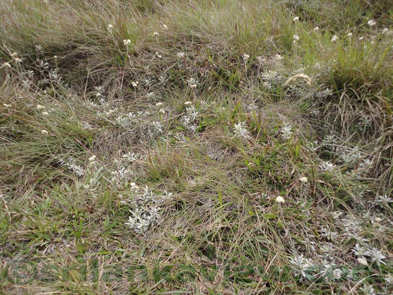 Horton Plains National Park and vicinity