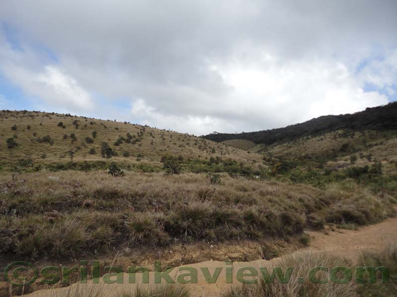 Horton Plains National Park and vicinity