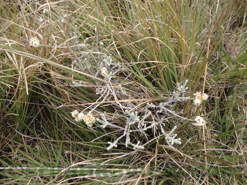 Horton Plains National Park and vicinity