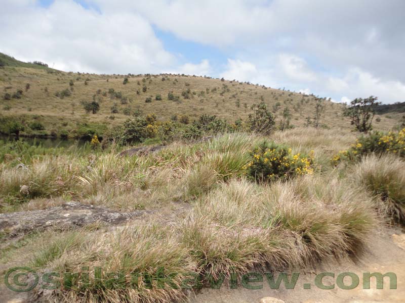 Horton Plains National Park and vicinity