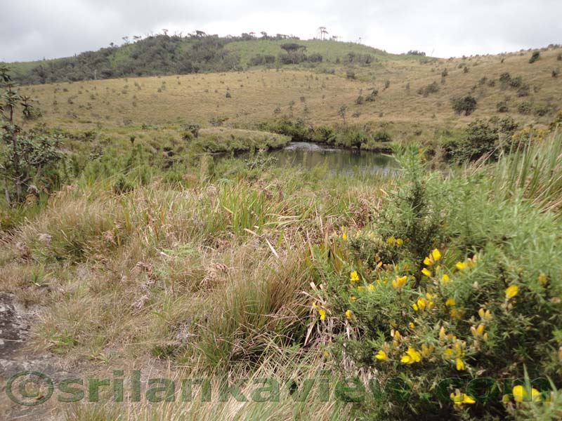 Horton Plains National Park and vicinity
