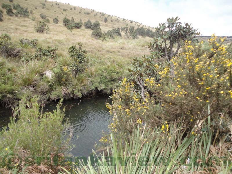 Horton Plains National Park and vicinity
