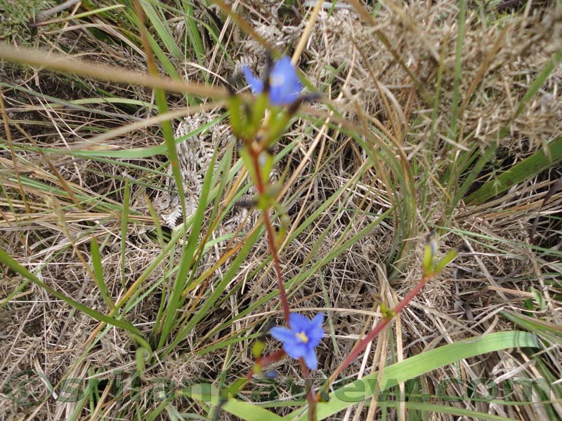 Horton Plains National Park and vicinity