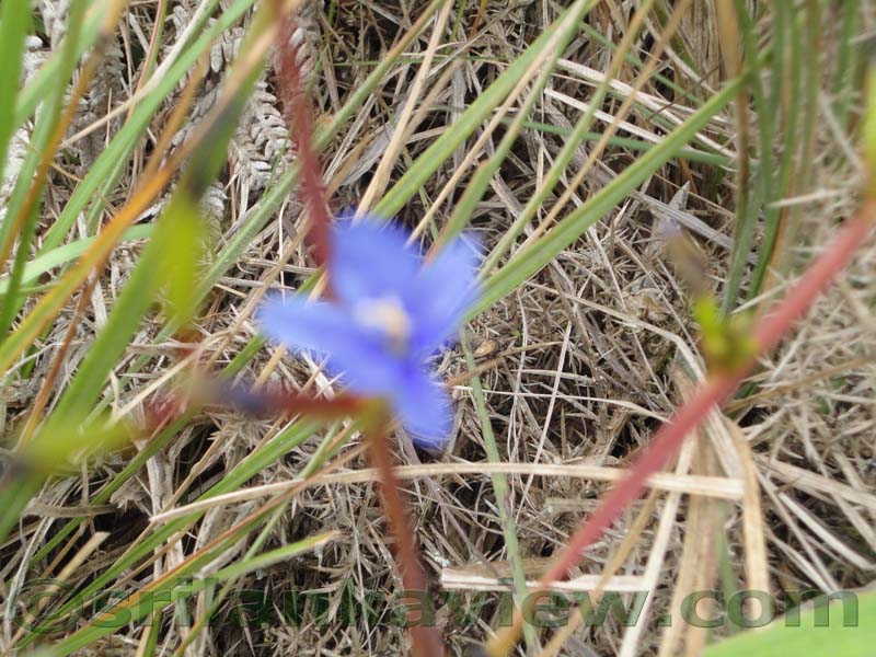 Horton Plains National Park and vicinity