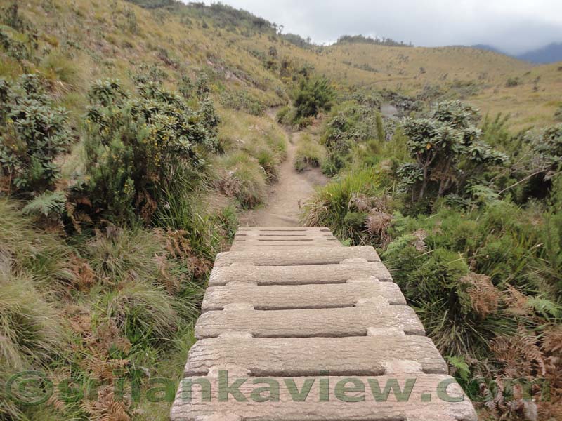 Horton Plains National Park and vicinity