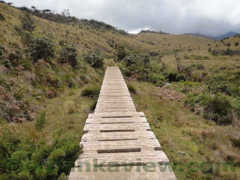 Horton Plains National Park and vicinity