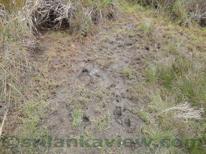 Horton Plains National Park and vicinity