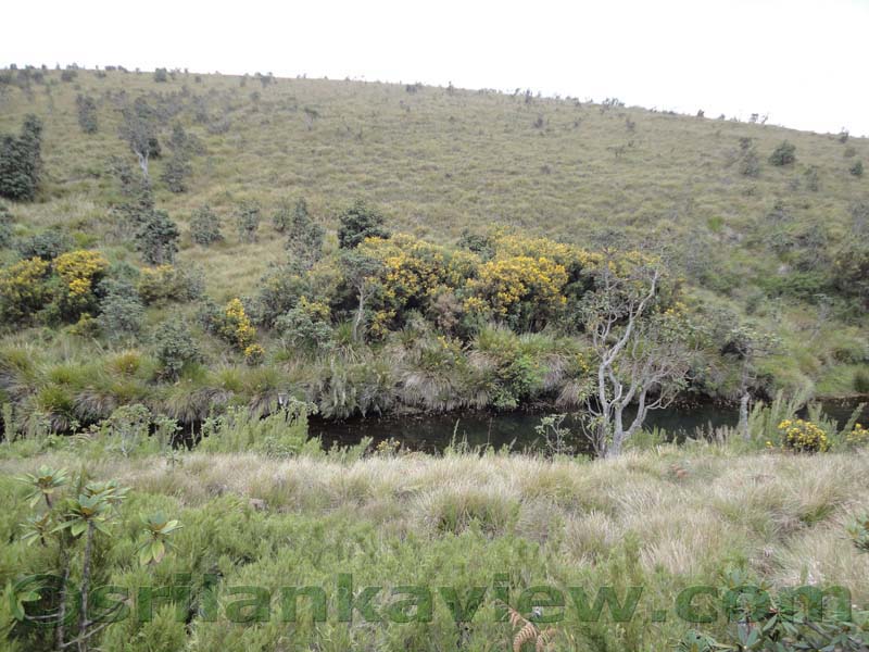 Horton Plains National Park and vicinity