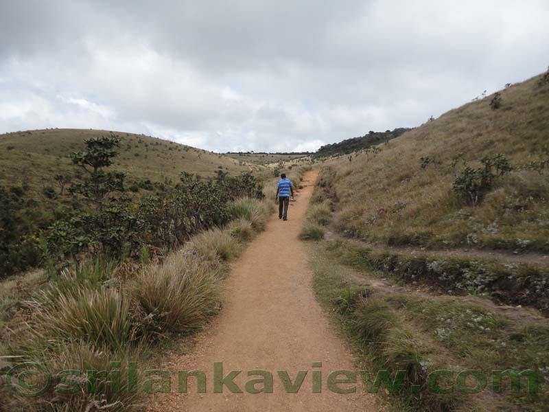 Horton Plains National Park and vicinity