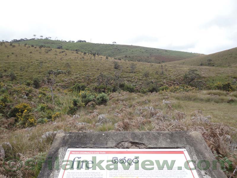 Horton Plains National Park and vicinity