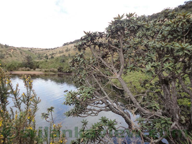 Horton Plains National Park and vicinity