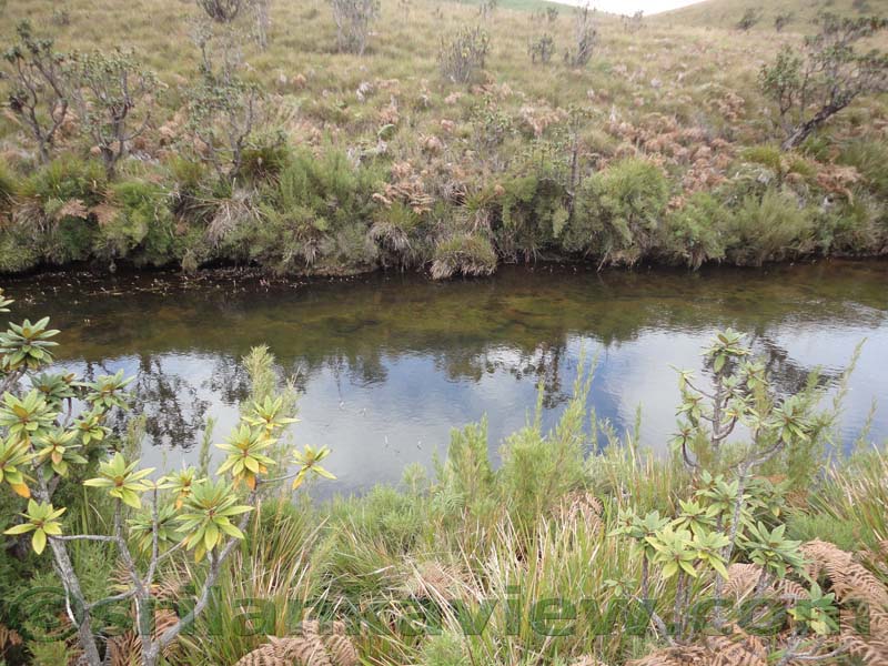 Horton Plains National Park and vicinity