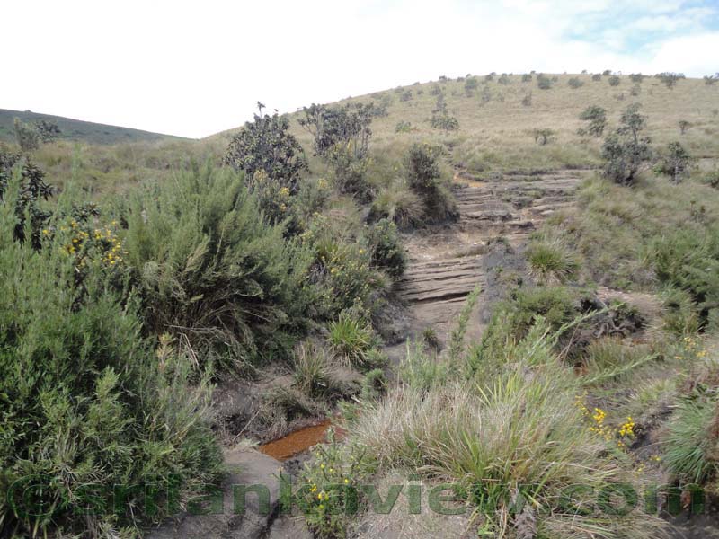 Horton Plains National Park and vicinity