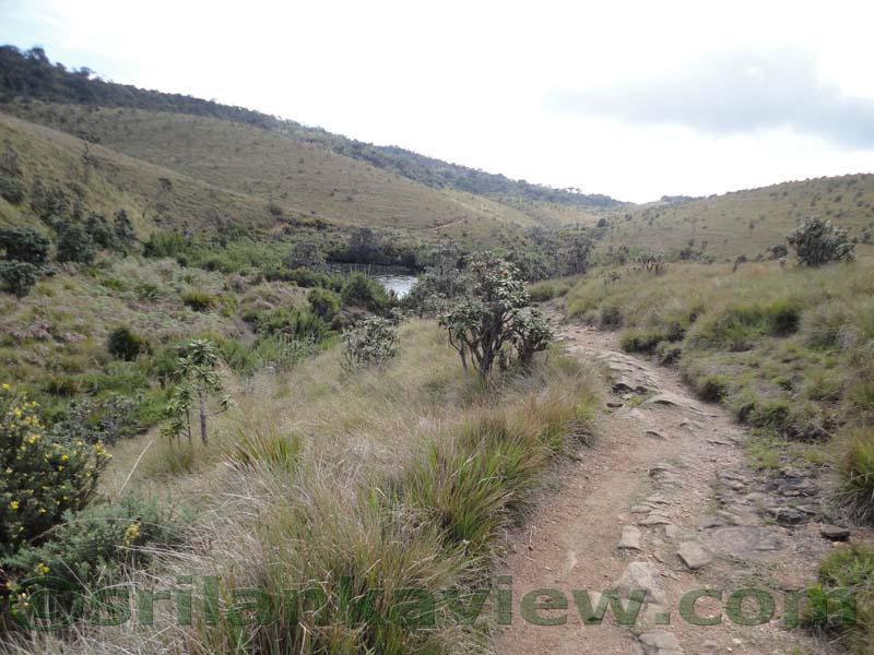 Horton Plains National Park and vicinity
