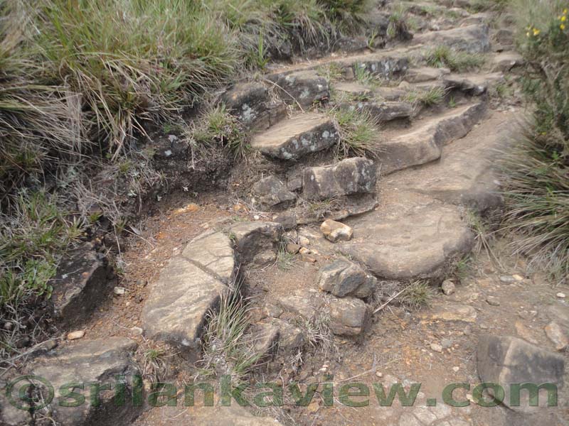 Horton Plains National Park and vicinity