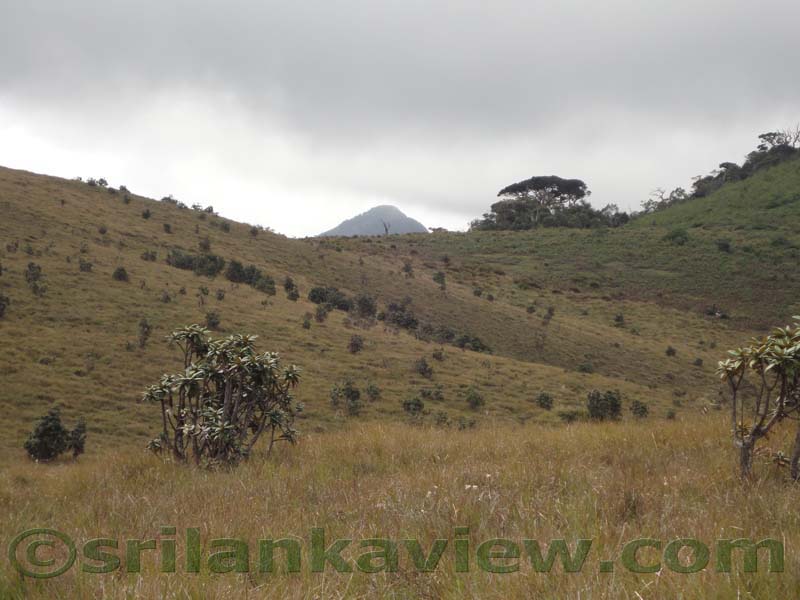 Horton Plains National Park and vicinity
