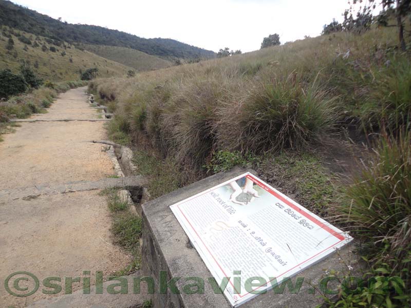 Horton Plains National Park and vicinity